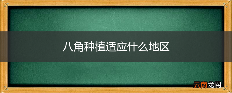 八角种植适应什么地区