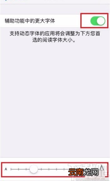 苹果手机设置更大字体的方法