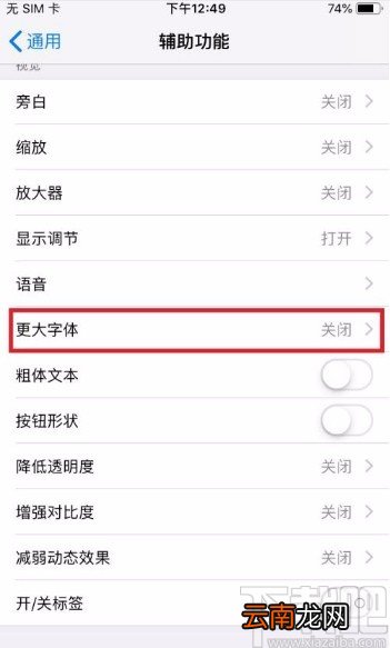 苹果手机设置更大字体的方法
