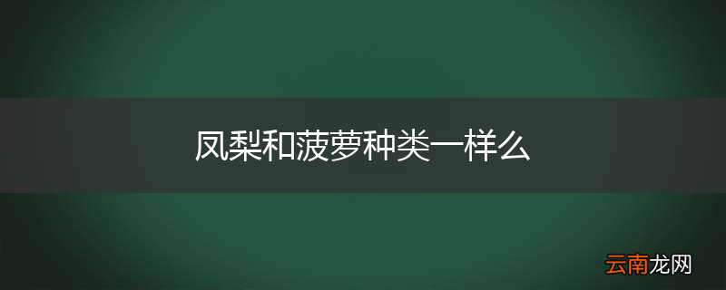 凤梨和菠萝种类一样么