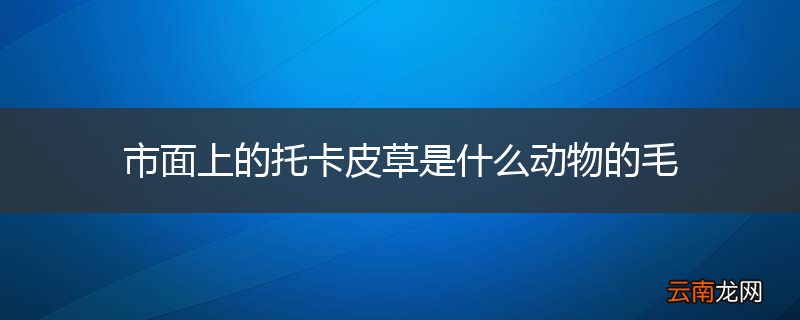 市面上的托卡皮草是什么动物的毛