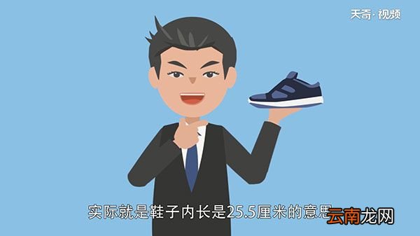 255是多少码