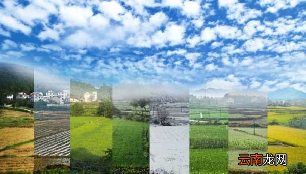 四季之美写作背景 四季之美写作背景资料