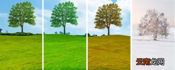 四季之美写作背景 四季之美写作背景资料