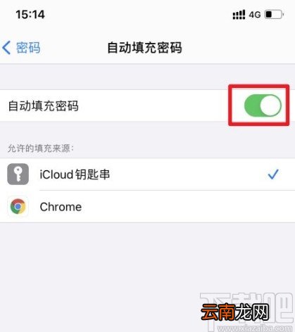 苹果手机设置自动填充密码的方法