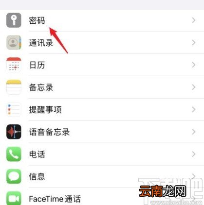 苹果手机设置自动填充密码的方法