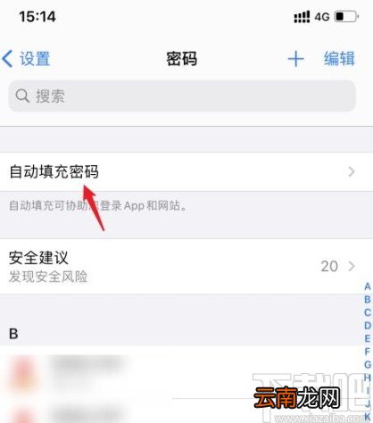 苹果手机设置自动填充密码的方法