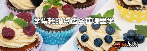 学蛋糕甜点适合在哪里学