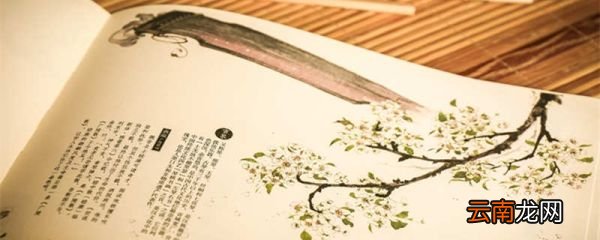 答韦中立论师道书重点字词翻译 答韦中立论师道书翻译及字词