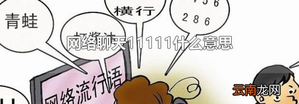 网络聊天11111什么意思