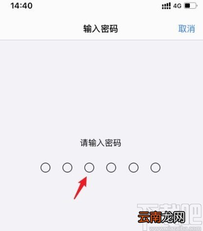 苹果手机重新录入面容ID的方法步骤