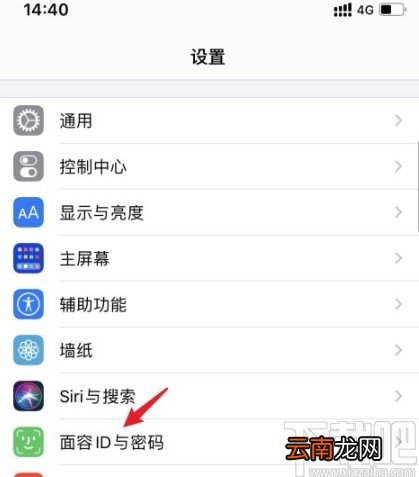 苹果手机重新录入面容ID的方法步骤