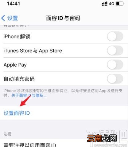 苹果手机重新录入面容ID的方法步骤
