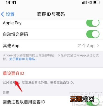 苹果手机重新录入面容ID的方法步骤