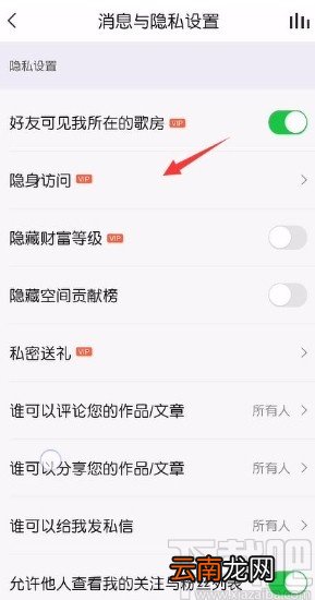 vv音乐app设置隐身访问的方法