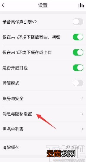 vv音乐app设置隐身访问的方法