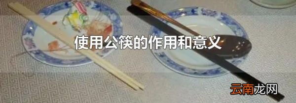 使用公筷的作用和意义