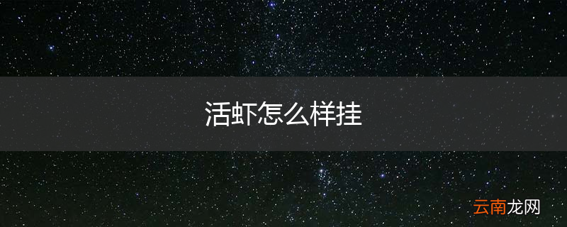 活虾怎么样挂