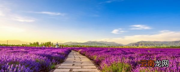 花园外告诉我们什么道理 花园外明白什么道理