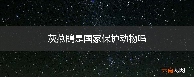 灰燕鵙是国家保护动物吗