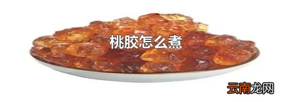 桃胶怎么煮