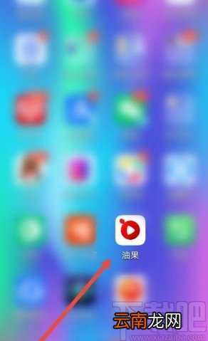 油果app开启青少年模式的方法