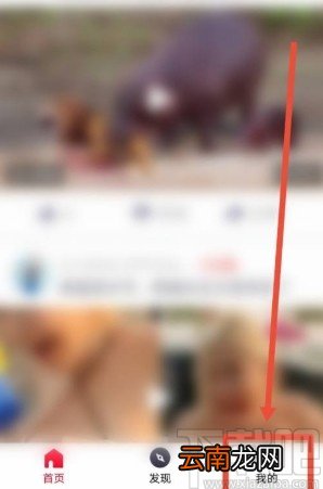 油果app开启青少年模式的方法