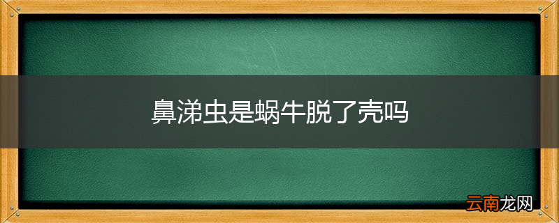 鼻涕虫是蜗牛脱了壳吗