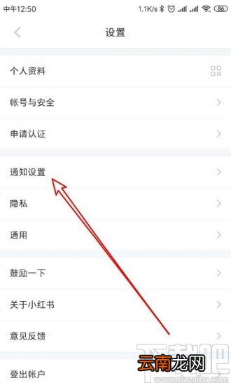 小红书app关闭接收关注通知的方法