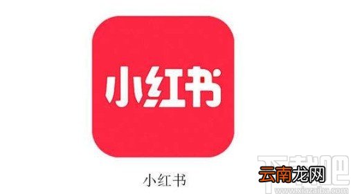 小红书app关闭接收关注通知的方法
