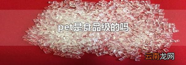 pet是食品级的吗