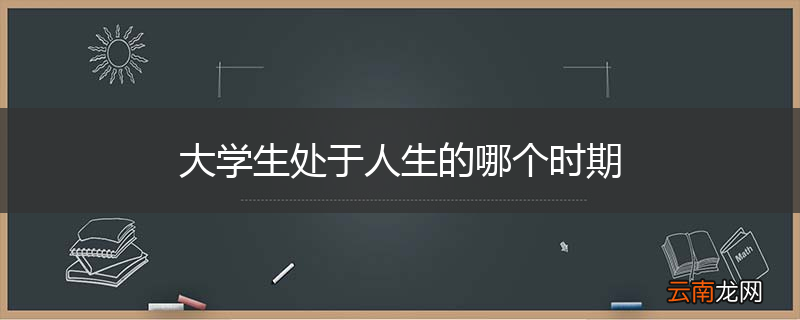 大学生处于人生的哪个时期