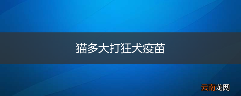 猫多大打狂犬疫苗