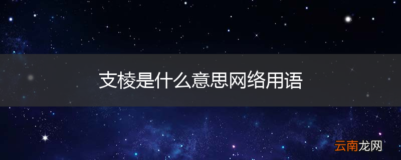 支棱是什么意思网络用语
