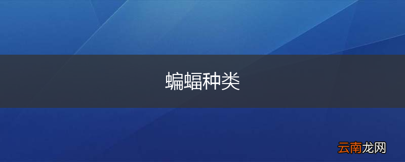 蝙蝠种类