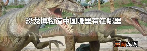 恐龙博物馆中国哪里有在哪里