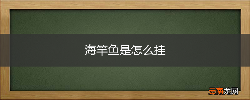 海竿鱼是怎么挂