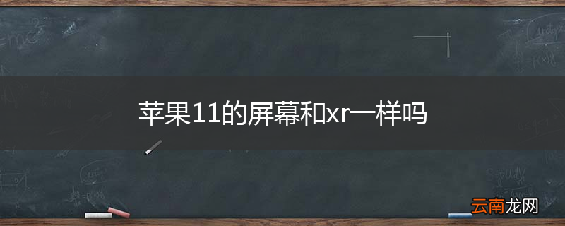 苹果11的屏幕和xr一样吗