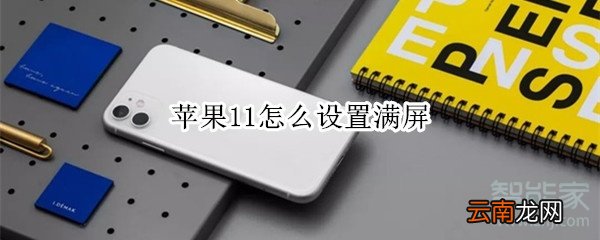 苹果11怎么设置满屏