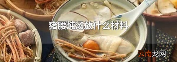 猪腰炖汤放什么材料
