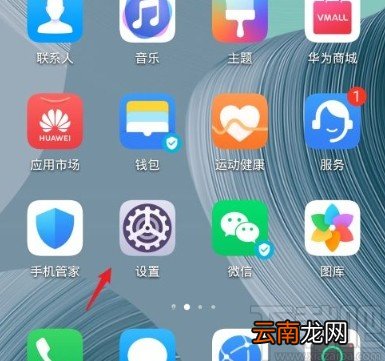华为手机设置应用联网权限的方法