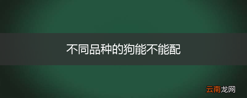 不同品种的狗能不能配