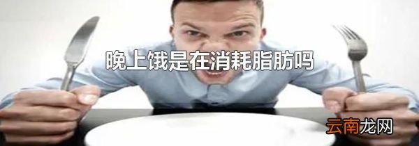 晚上饿是在消耗脂肪吗