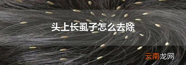 头上长虱子怎么去除