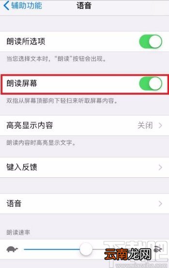 苹果手机开启朗读屏幕功能的方法