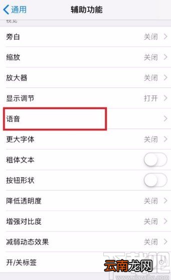苹果手机开启朗读屏幕功能的方法