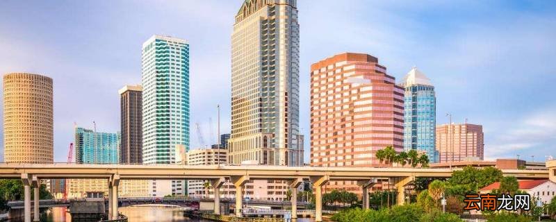 tampa是哪个城市
