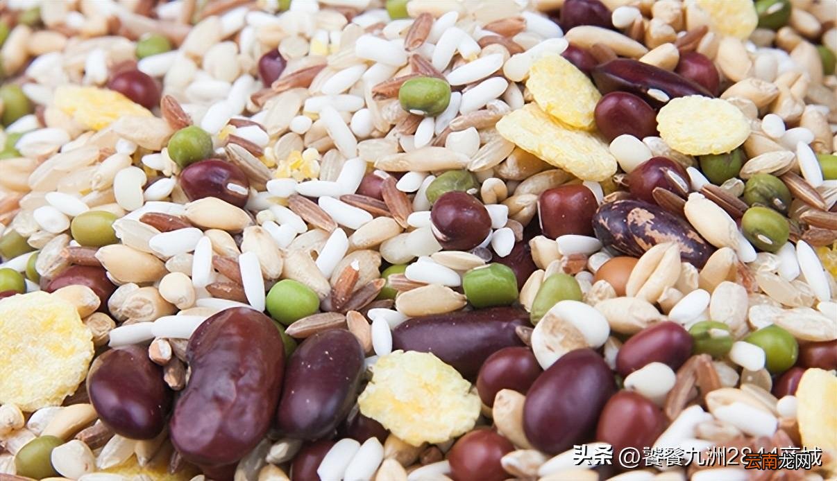 正确挑选才能吃的更健康 粗粮和细粮区别主要是什么
