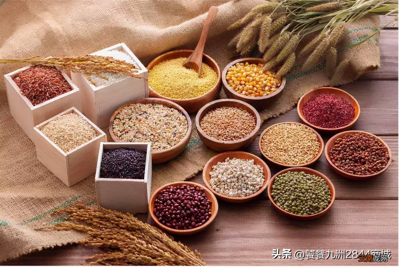 正确挑选才能吃的更健康 粗粮和细粮区别主要是什么