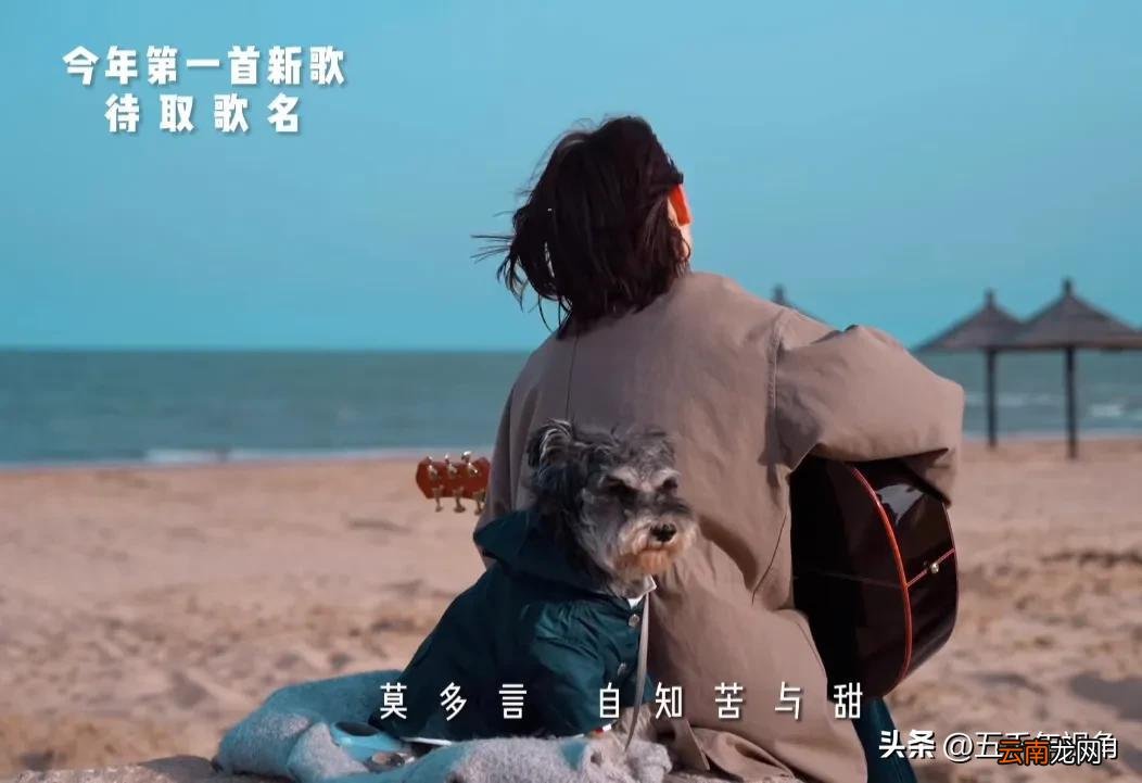 网络音乐人程响创作的网红歌曲 程响最火的几首歌